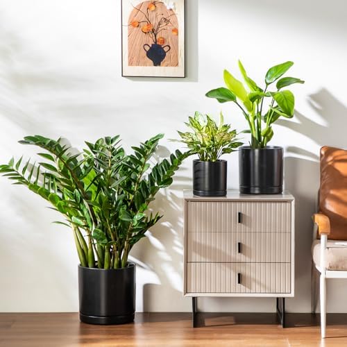 vancasso Ceramic Planters, Plant Pots for Indoor Plants, 6.25+8.25+10.25 Inch Ceramic Pots for Plants, Flower Pots with Drainage Holes (Black, 6.25+8.25+10.25 Inch) - Image 6