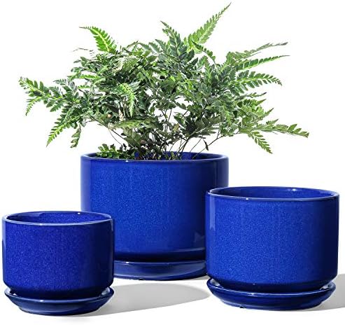 LE TAUCI Ceramic Pots for Plants, 4.3+5.3+6.8 Inch, Set of 3, Sapphire Blue by LETAUCI