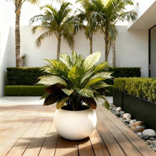 Large Round Planter,Planters for Indoor Plants & Outdoor,Durable Plastic Material Sphere Planter with Drainage Hole & Rubber Plug Weather Resistant,Plant Pot - Image 6