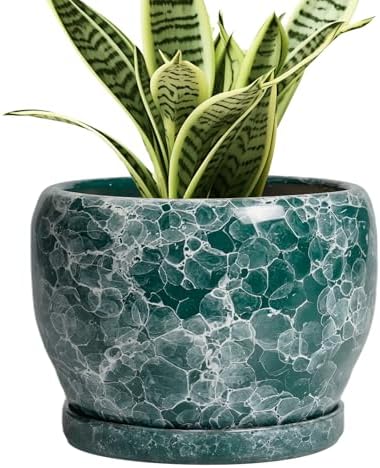SQOWL Ceramic Pot for Plants - 6 Inch Ceramic Planter with Drainage Hole and Saucer, Round Flower Pot for Indoor Outdoor, Decorative Small Planter, Room Home Decor, Plant Lover Gifts, Green by SQOWL