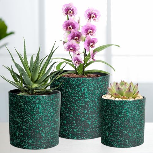 Meowell 7/6.5/6/5/4 inch Plant Pots, 5 Pack Cylinder Flower Pots for Small Indoor Outdoor Plants, Plastic Planters with Drainage Holes and Saucer for Garden Succulent Plants, Black With Green Speckles - Image 5