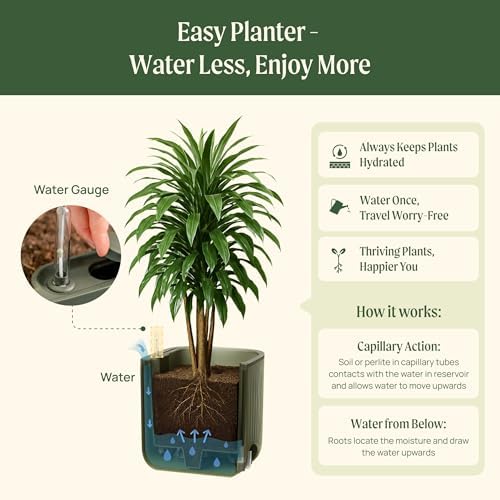 15 Inch Self-Watering Planter for Indoor Plants – Large Modern Plant Pot with Built-In Water Reservoir, Ideal for Monstera, Fiddle Leaf Fig, Palms & Peace Lily, Without Trellis (1, Fog Gray) - Image 5