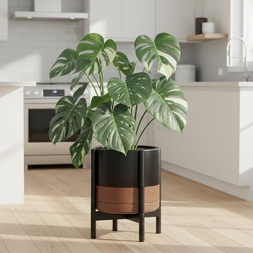 D'vine Dev Ceramic Pot with Ebony Wood Stand, Black/Tan, 12 in, 55-B-H-7 - Image 4