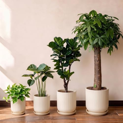 Deep Dream 6 Inch Ceramic Pots for Plants, Heavy Plant Pot for Indoor Outdoor Plants, Large Plant Pot with Drainage Hole and Saucer, Modern Tall Flower Pot, Gifts for Plant Lovers, Cream - Image 6