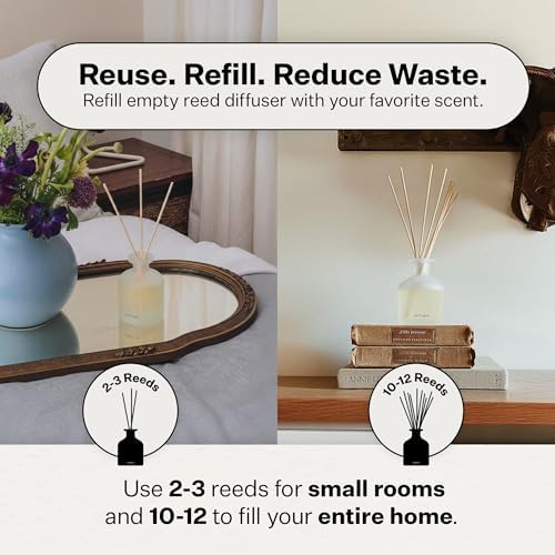 Apotheke Scented Reed Diffuser for Home, Wild Mint & Ivy, 10 Reed Sticks - Image 4