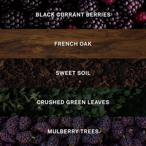 Hotel Lobby Napa Valley Candle – Luxury Hand-Poured 9.75oz 100% Soy Wax with Black Currant, French Oak, Sweet Soil, and Mulberry – Paraffin-Free, Infused with Essential Oils, 65-Hour Clean Burn - Image 3