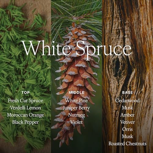 Antica Farmacista Reed Diffuser, White Spruce, 10.8 fl oz - Image 4