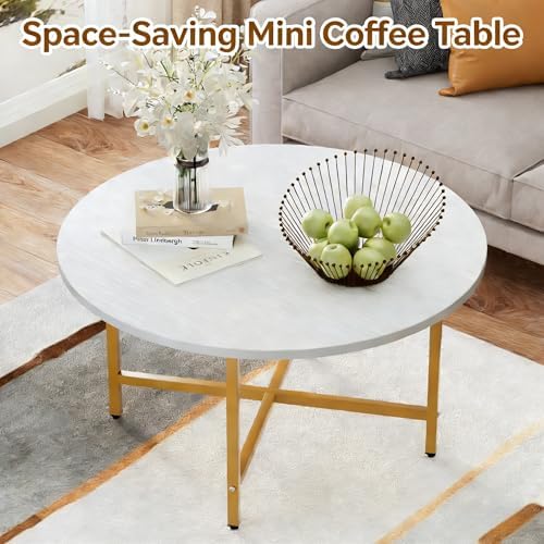 Coffee Table, 23.6" Round Coffee Table, White & Gold Leg Living Room Tables - Image 7