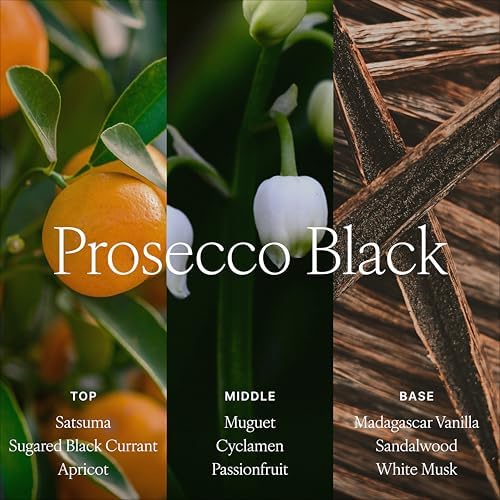 Antica Farmacista Reed Diffuser, Prosecco Black, 33.8 fl oz - Image 4