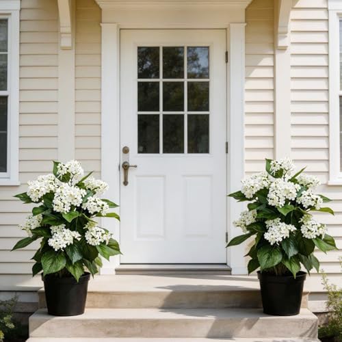 24 Inch Artificial White Hydrangea Potted Plant, 2 Pack Faux Silk Flower Bonsai Tree with Black Planter, Realistic Fake Flower for Tabletop, Shelf, Home Bedroom Office Porch Decor - Image 6