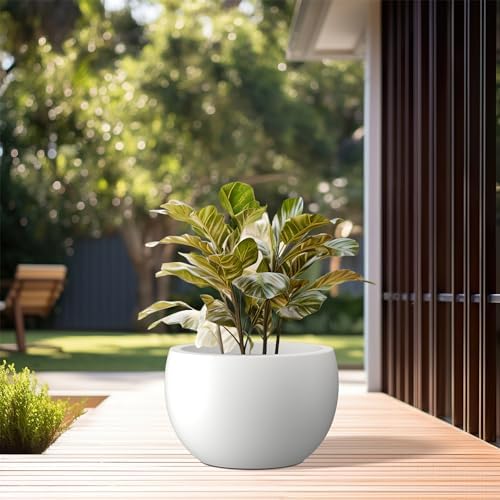 Kante Small Round Bowl White Concrete Planter 11.8" Dia, Outdoor - Image 3