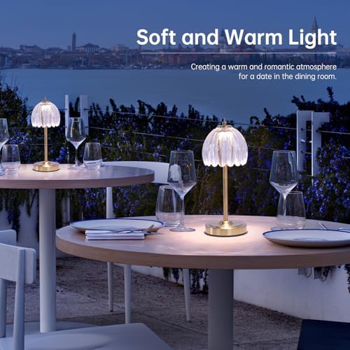 Shenmoyl Tulip Table Lamp with 5000mAh Battery & Touch Control, Cordless Table Lamp with 3 Colors, Dimmable Rechargeable Table Lamps for Bedroom, Nightstand, Living Room, Entryways (Transparent Tulip) - Image 5