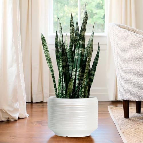 10 Inch Ceramic Plant Pot with Drainage – Large Flower Pot for Indoor Outdoor Plants, Modern Decorative Planter for Patio, Balcony, Garden, or Home Decor - Image 7
