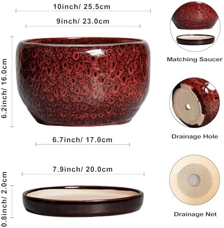 SQOWL Ceramic Flower Pots - 10 Inch Plant Pot Indoor, Ceramic Planter with Drainage Hole and Saucer, Round Decorative Large Planter Outdoor, Home Decor Living Room, Gifts for Plant Lovers, Red - Image 3