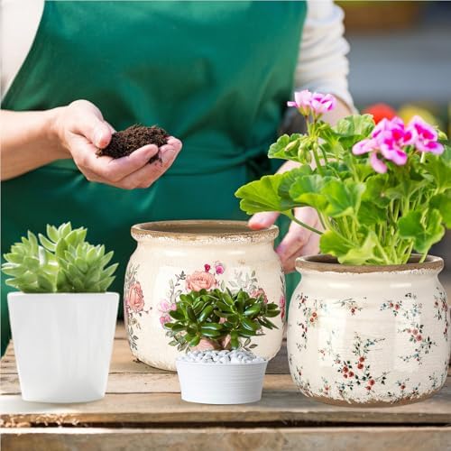 2 Pcs Vintage Planter Ceramic Plants Pot with Drainage Ice Crack Scroll Flower Vase Pot for Indoor Outdoor Plants Home Kitchen Decor Gifts(Farmhouse Rose,5.9") - Image 4