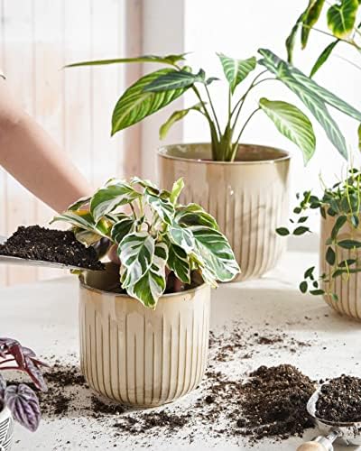 LE TAUCI Ceramic Pots for Plants, 8.3/7/6 Inch Indoor Planters with Drainage Holes & Mesh, Modern Glossy Glaze Cylinder Fluted Plant Pot for Snake Plant, Set of 3, Sand Beige - Image 2
