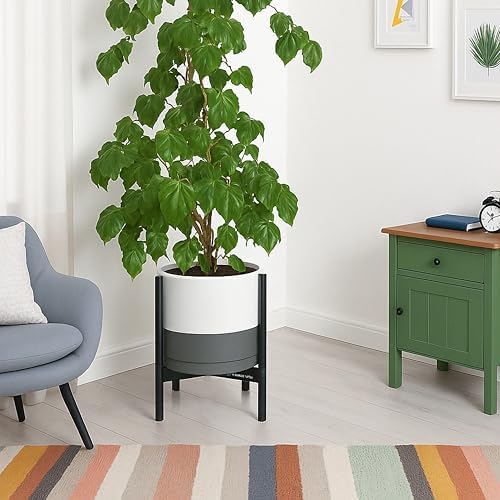 D'vine Dev Ceramic Pot with Ebony Wood Stand, White/Grey, 12 in, 55-B-H-6 - Image 7