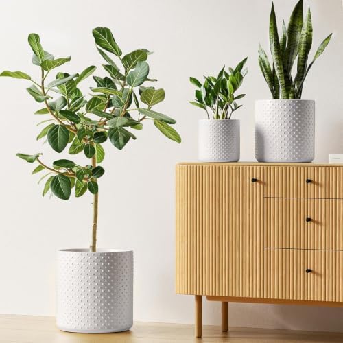 LE TAUCI 10+8+6 Inch Ceramic Pots for Plants, Indoor Planters with Drainage Hole and Plug, Raised Dots Cylinder Flower Pots Set of 3 for Living Room and Bedroom, Matte, White - Image 6