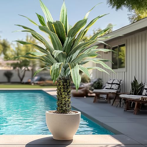 Artificial Agave Plant Potted Plants for Indoor Outdoor Fake Agave Tree in Pot Realistic Faux Tree with 42 Leaves for Home Living Room Office Garden Front Porch Patio Decor (61inch-1 Pc Potted Yellow) - Image 5