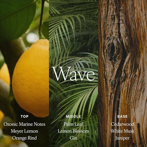 Antica Farmacista Reed Diffuser, Wave, 10.8 fl oz - Image 4