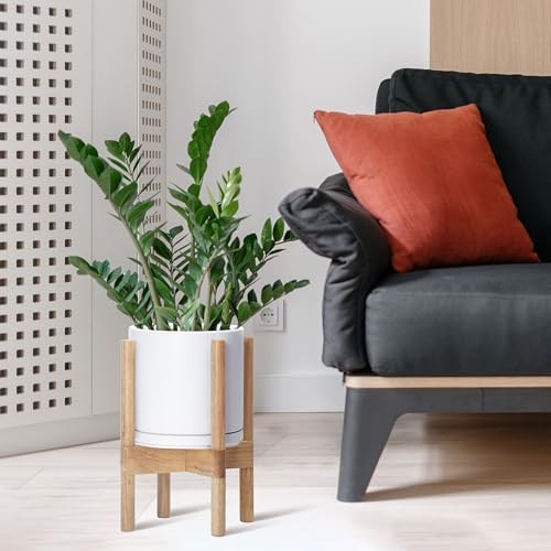 D'vine Dev Ceramic Pot with Natural Wood Stand, White, 8 in, 55-B-N-1 - Image 4