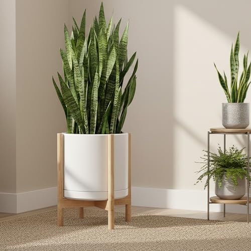 D'vine Dev Ceramic Pot with Natural Wood Stand, White, 14 in, 55-B-R-1 - Image 6