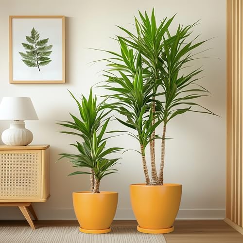 Ceramic Plant Pots - 10 Inch 8 Inch 6 Inch Planters, Orange - Image 4