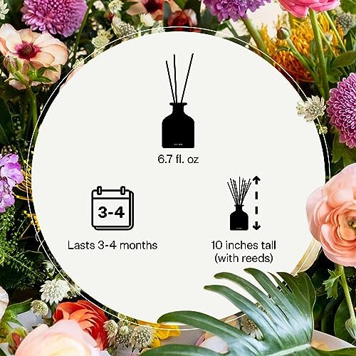 Apotheke Scented Reed Diffuser for Home, Wild Mint & Ivy, 10 Reed Sticks - Image 3