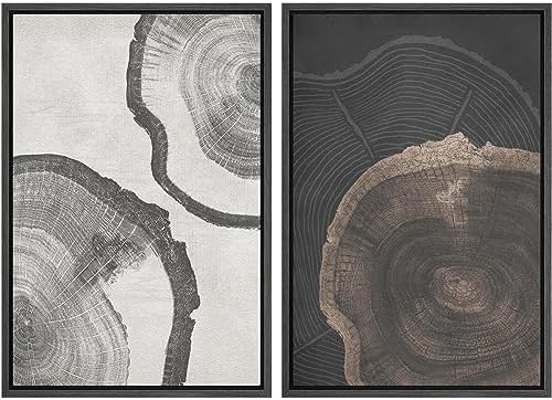 SIGNWIN Framed Canvas Print Wall Art Wood Tree Rings Abstract Illustrations Minimalist Modern Wall Art Neutral Boho Decor for Living Room, Bedroom, Office - 16"" x24 x2 Black by SIGNWIN