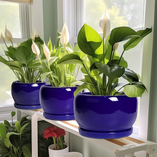 SQOWL Ceramic Planters for Indoor Plants - 6 Inch Plant Pot with Drainage Hole and Saucer, Round Small Planter, Modern Decorative Flower Pot Outdoor, Living Room Decor, Garden Gifts for Women, Blue - Image 5