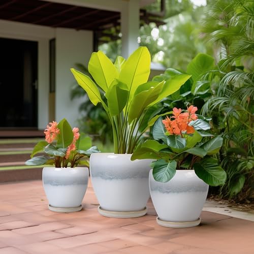 Ceramic Plant Pots - 10 Inch 8 Inch 6 Inch Planters, White-Grey - Image 5
