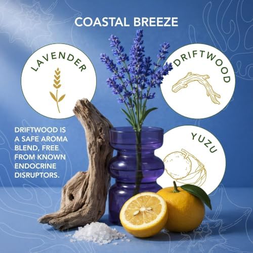 Coastal Breeze - Yuzu & Sea Salt Pure Beeswax Candle – 90+ Hours Long Burning Classically Designed Non-Toxic Scented Candles for Home Decor with Natural Fragrance 15 oz - Image 4