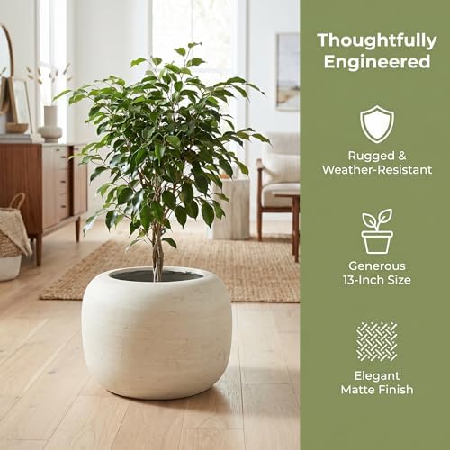 MGWILL 13 Inch Plant Pot, Elegant Planters for Indoor Plants, Flower Pots with Drainage Hole, Durable Indoor Planter for Home Decor, Fits Fiddle Leaf Fig & Monstera, Off-White - Image 6