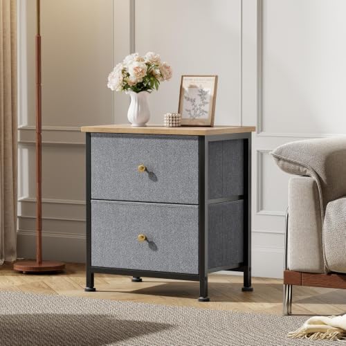 DUMOS Nightstand, Bedside Table for Bedroom, 2 Drawers Fabric Storage Chest - Image 2