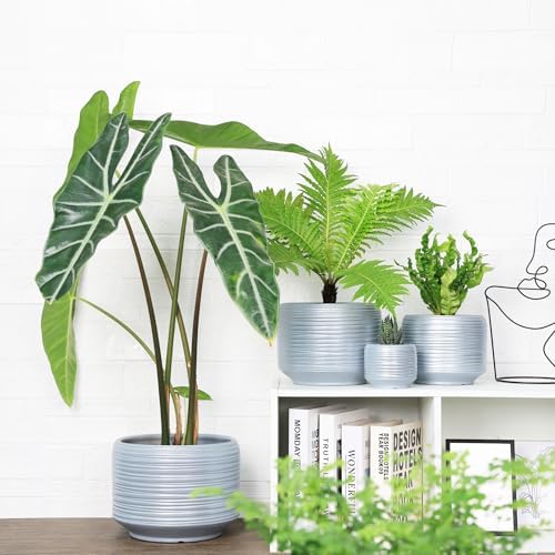 10 Inch Ceramic Plant Pot with Drainage – Large Flower Pot for Indoor Outdoor Plants, Modern Decorative Planter for Patio, Balcony, Garden, or Home Decor - Image 5