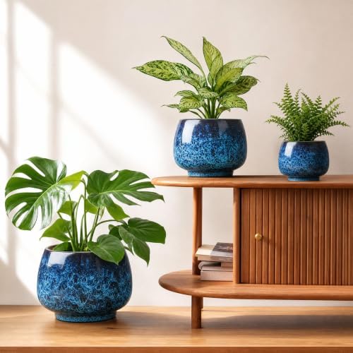 BUYMAX Ceramic Plant Pots Set of 3, 6 & 8 & 10 Inch Indoor Planters by BUYMAX