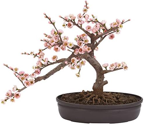 Nearly Natural Cherry Blossom Bonsai Silk Tree, Pink by NearlyNatural