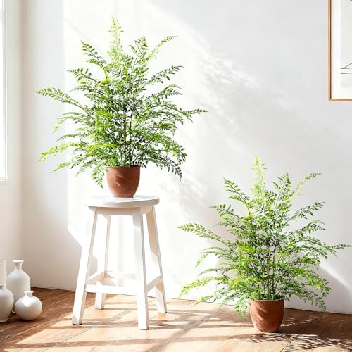 2 Pack Artificial Fern Plants in Pots Artificial Boston Ferns Potted Plants Faux Fern Bush Plant Shrubs Greenery for Outdoor Indoor Porch Patio Farmhouse Garden Living Room Office Table Decor (Type 5) by Yarmare