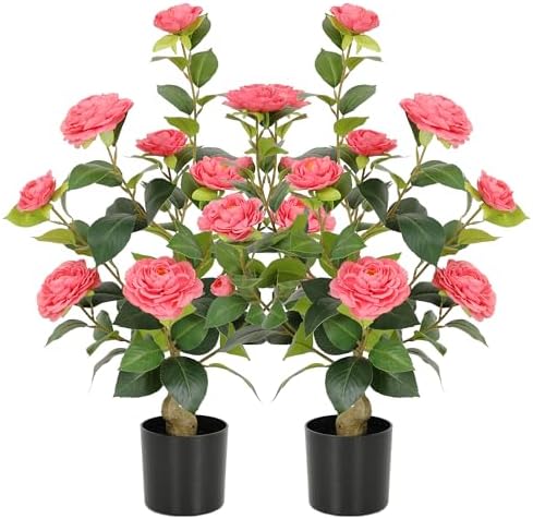Nafresh 2FT Lush Artificial Pink Camellia Tree Outdoor 2 Pack, 24inch Faux Camellia Plant, Fake Camellia Flowers Tree for Indoor Outdoor Living Room Home Patio Front Door Garden Decor by Nafresh