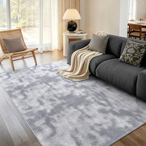 5x7 Tie-dye Light Grey Area Rug Washable Non-Slip for Living Room Bedroom by Unknown