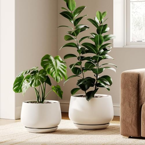 LE TAUCI Ceramic Plant Pots, 10 + 12 Inch, Set of 2, White by LETAUCI