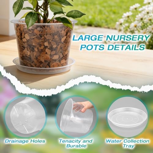 8 Inch Clear Nursery Pots with Drainage and Sacuers, 8 Pack Plastic Pots for Plants Indoor Outdoor, Large Clear Pots for Flowers, Succulents (8inx8pcs) - Image 3