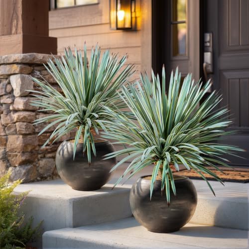 Artificial Agave Plant Fake Agave Planters for Indoor Outdoor Faux Agave Plants Real Touch Realistic Greenery for Home Living Room Office Garden Front Porch Patio (26inch 180Leaves-2 Pcs Yellow) by Yarmare