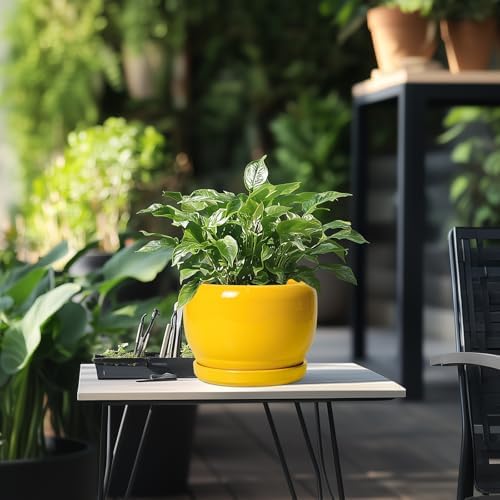 SQOWL Ceramic Plant Pot - 8 Inch Planter for Indoor Outdoor, Decorative Plant Pot with Drainage Hole and Saucer, Modern Round Planter for Flower, Desk Decor, Housewarming Gifts, Yellow - Image 5