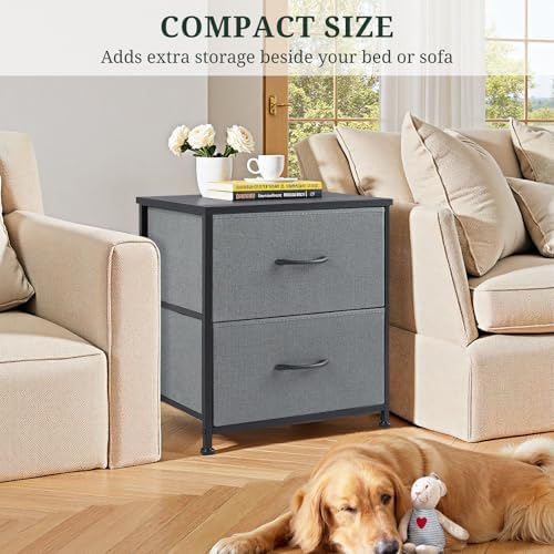Nightstand Set of 2 Small 2 Drawer Dresser End Table Bedside Furniture - Image 6