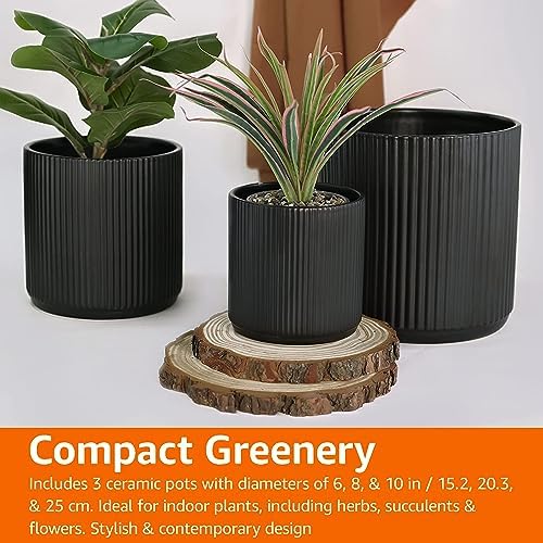 Amazon Basics Fluted Ceramic Planters for Indoor Outdoor Plants, Round Flower Pots with Drainage Hole, Set of 3, 6 inch, 8 inch, 10 inch, Black - Image 7