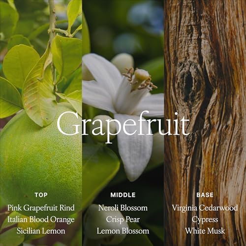Antica Farmacista Reed Diffuser, Grapefruit, 16.9 fl oz - Image 4