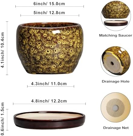 SQOWL 6 Inch Plant Pot - Ceramic Flower Pots with Drainage Hole and Saucer, Ceramic Planter for Indoor Plants Outdoor, Round Decorative Small Planter, Table Desk Decor, Housewarming Gifts, Yellow - Image 3