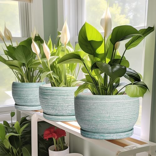 SQOWL Ceramic Pots for Plants - 10 Inch Ceramic Planter for Indoor Outdoor, Modern Round Flower Pot with Drainage Hole and Saucer, Large Planter, Home Office Decor, Gifts for Plant Lovers, Green - Image 6