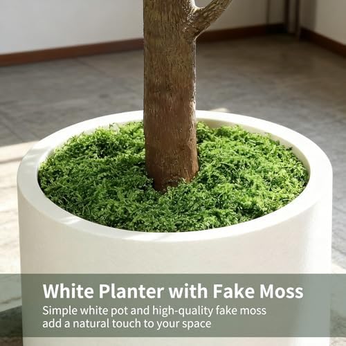 6FT Artificial Fiddle Leaf Fig Tree with White Planter & Fake Moss, Realistic Faux Ficus Lyrata Floor Plant for Indoor Home Office Decor, Housewarming Gift - Image 3